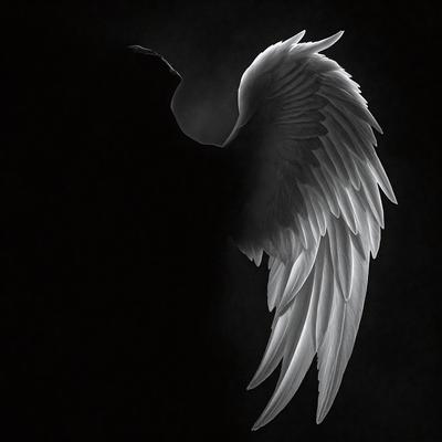 The primary subject of the image is a white bird with large wings, possibly an angel or a bird of prey. The bird is standing in a dark environment, which contrasts with its white color. The visual style of the image is a combination of photo and digital art, creating a striking contrast between the bird and its surroundings. The overall atmosphere of the image is mysterious and dramatic, with the bird's wings spread wide, giving the impression of flight or freedom.